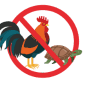 Live animals image